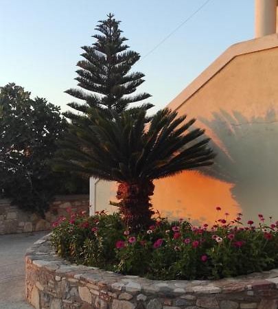 Small Patak House Psalidi  Esterno foto